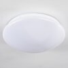 Brighton Plafoniera LED Bianco, 1-Luce, Telecomando, Cambia colore