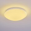 Brighton Plafoniera LED Bianco, 1-Luce, Telecomando, Cambia colore