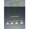 Trio LEVISTO Lampadario a sospensione LED Ottone, 4-Luci