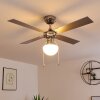 Valletta ventilatore da soffitto Cromo, Argento, Bianco, 1-Luce
