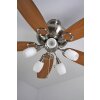 Globo JERRY Ventilatore Cromo, Acciaio inox, Nichel opaco, 5-Luci