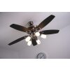 Globo JERRY Ventilatore Cromo, Acciaio inox, Nichel opaco, 5-Luci