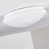 Brighton Star Plafoniera LED Bianco, 1-Luce, Telecomando, Cambia colore