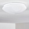 Brighton Star Plafoniera LED Bianco, 1-Luce, Telecomando, Cambia colore