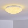 Brighton Star Plafoniera LED Bianco, 1-Luce, Telecomando, Cambia colore