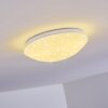 Brighton Star Plafoniera LED Bianco, 1-Luce, Telecomando, Cambia colore