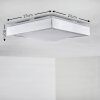 Sora Plafoniera LED Nichel opaco, 1-Luce