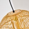 Alesund Lampadario a sospensione Nero, 1-Luce