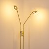 Gulkana Lampada da terra LED Oro, 2-Luci