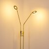 Gulkana Lampada da terra LED Oro, 2-Luci