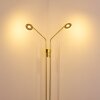 Gulkana Lampada da terra LED Oro, 2-Luci