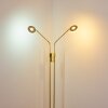 Gulkana Lampada da terra LED Oro, 2-Luci