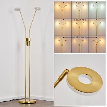 Gulkana Lampada da terra LED Oro, 2-Luci