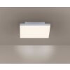 Paul Neuhaus FRAMELESS Plafoniera LED Bianco, 1-Luce, Telecomando