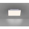 Paul Neuhaus FRAMELESS Plafoniera LED Bianco, 1-Luce, Telecomando