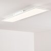 Antria Plafoniera LED Bianco, 1-Luce