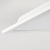 Antria Plafoniera LED Bianco, 1-Luce