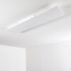 Antria Plafoniera LED Bianco, 1-Luce