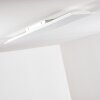 Antria Plafoniera LED Bianco, 1-Luce