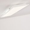 Antria Plafoniera LED Bianco, 1-Luce