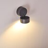 Ripen Applique da esterno LED Antracite, 1-Luce