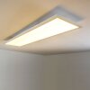 Lerum Plafoniera LED Bianco, 1-Luce, Telecomando