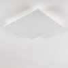 Antria Plafoniera LED Bianco, 1-Luce