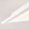 Antria Plafoniera LED Bianco, 1-Luce