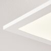 Antria Plafoniera LED Bianco, 1-Luce