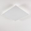 Antria Plafoniera LED Bianco, 1-Luce