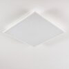 Antria Plafoniera LED Bianco, 1-Luce