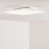 Antria Plafoniera LED Bianco, 1-Luce