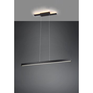 Trio Belfast Lampada a Sospensione LED Nero, 1-Luce