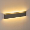 Tinglev Applique da esterno LED Grigio, 2-Luci