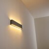 Tinglev Applique da esterno LED Grigio, 2-Luci