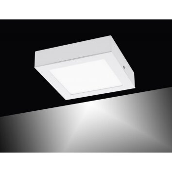 Leuchten-Direkt OSKAR Plafoniera LED Bianco, 1-Luce