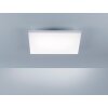 Plafoniera Paul Neuhaus FRAMELESS LED Bianco, 1-Luce, Telecomando