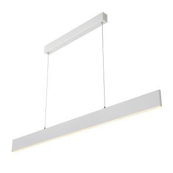 Lucide RAYA Lampada a Sospensione LED Bianco, 1-Luce