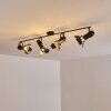 Lichinga Faretto da soffitto Nero, 4-Luci