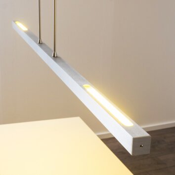 Masterlight Real Lampadario a sospensione LED Alluminio, Nichel opaco, 1-Luce