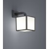 Trio CUBANGO Applique da esterno Antracite, 1-Luce