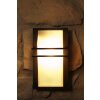 Eglo Park Applique per esterno Vetro, Bianco, 1-Luce