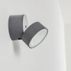 Schelde Applique da esterno LED Antracite, 1-Luce