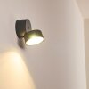 Schelde Applique da esterno LED Antracite, 1-Luce