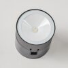 Schelde Applique da esterno LED Antracite, 1-Luce