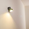 Schelde Applique da esterno LED Antracite, 1-Luce