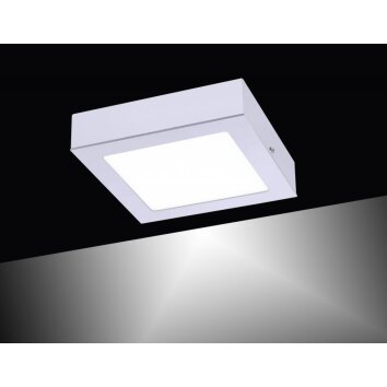 Leuchten-Direkt OSKAR Plafoniera LED Argento, 1-Luce