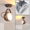 Foverup Plafoniera Cromo, Grigio, 1-Luce