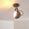 Foverup Plafoniera Cromo, Grigio, 1-Luce