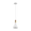 Eglo SABINAR Lampadario a sospensione Bianco, 1-Luce